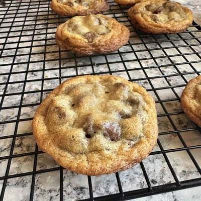 Chocolate Chip 