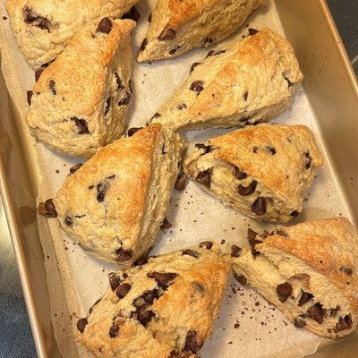 Discarded Chocolate Chip Scones