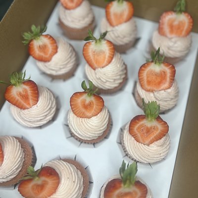 One Dozen Cupcakes 