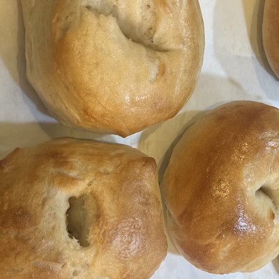 Plain Sourdough Bagels (4-pack)