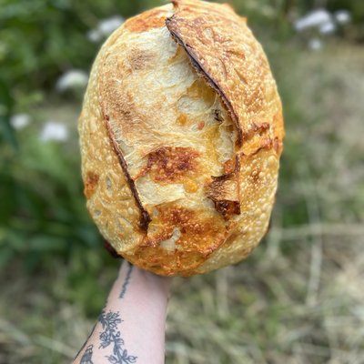 Hank (Cheesy Sourdough Loaf)