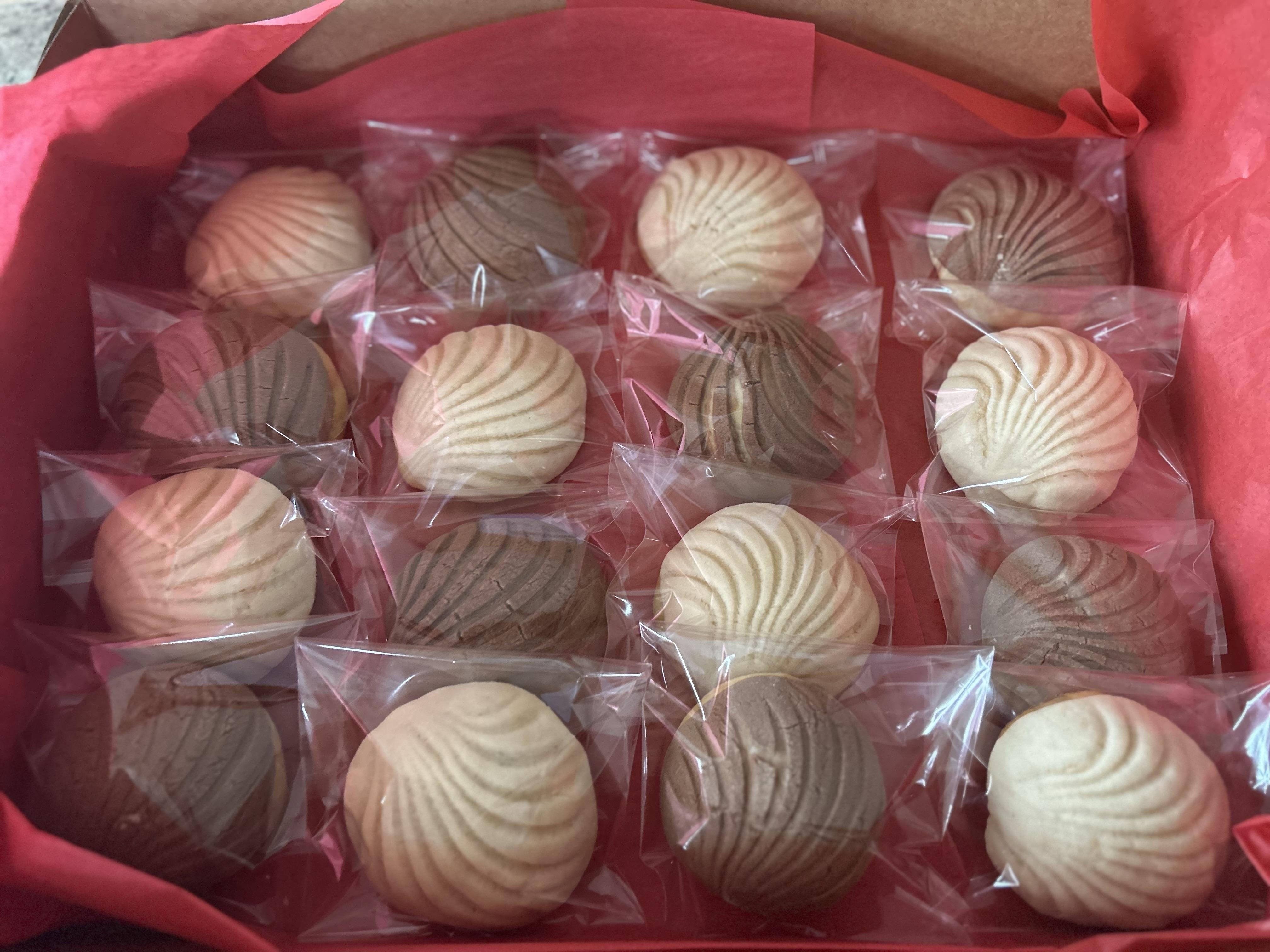 Conchas