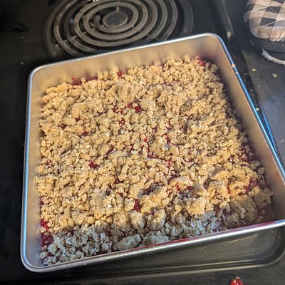 Gluten Free Berry Streusel Bar