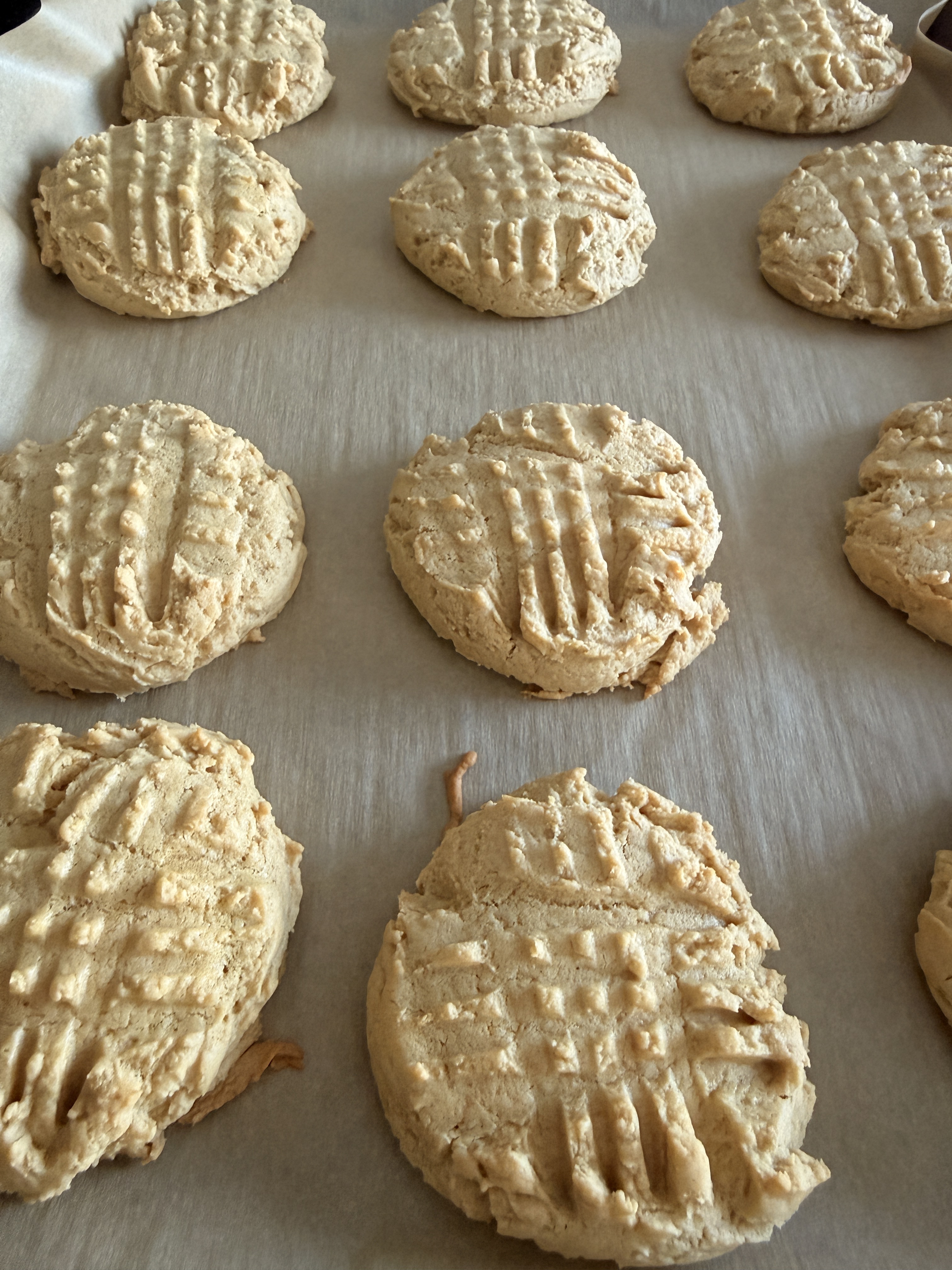Sourdough Peanut Butter Cookies