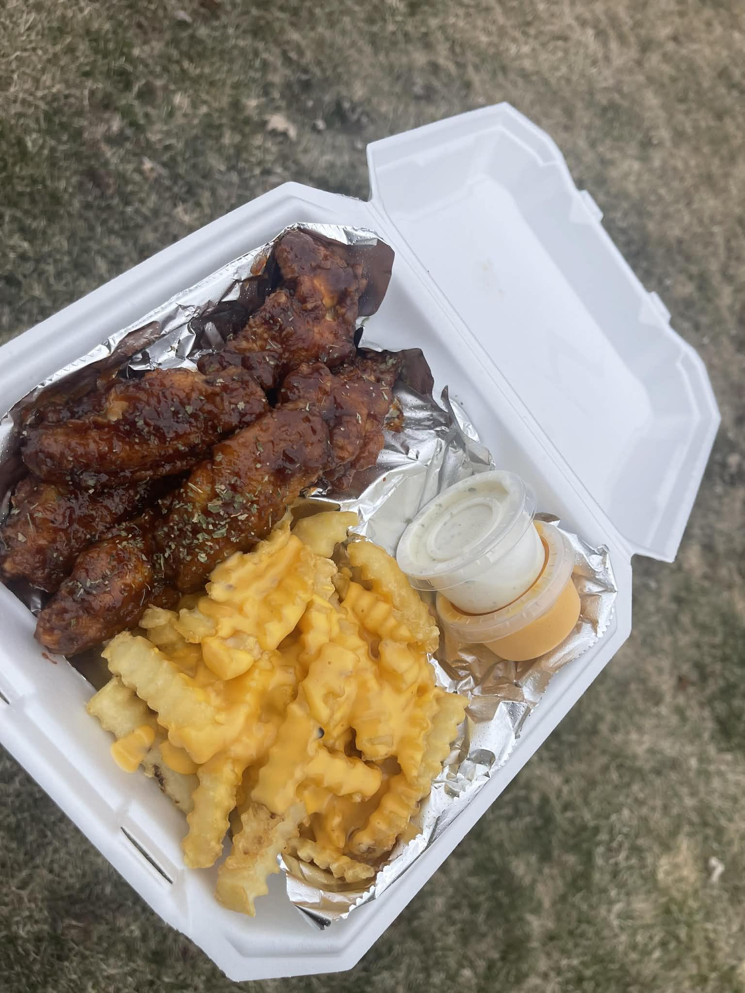 Wing Combo 