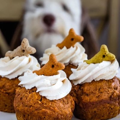Pupcakes 6 Pack 