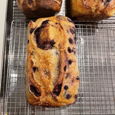 Lemon Blueberry Sour Dough Bread 