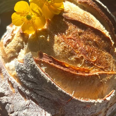 CUSTOM Sourdough