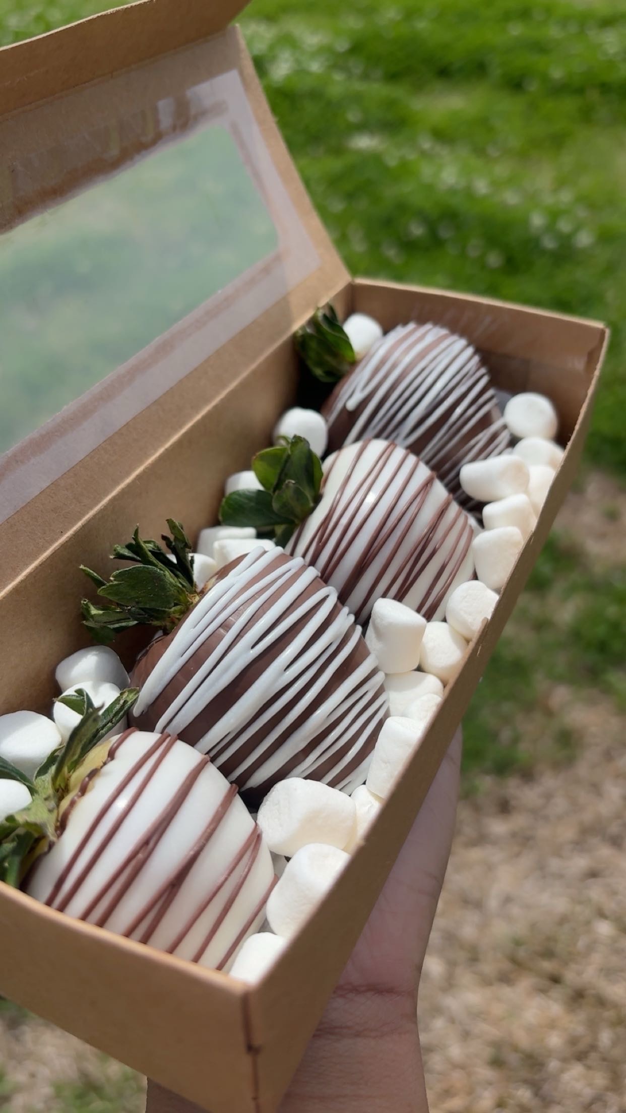 6ct Regular Dipped Berries 