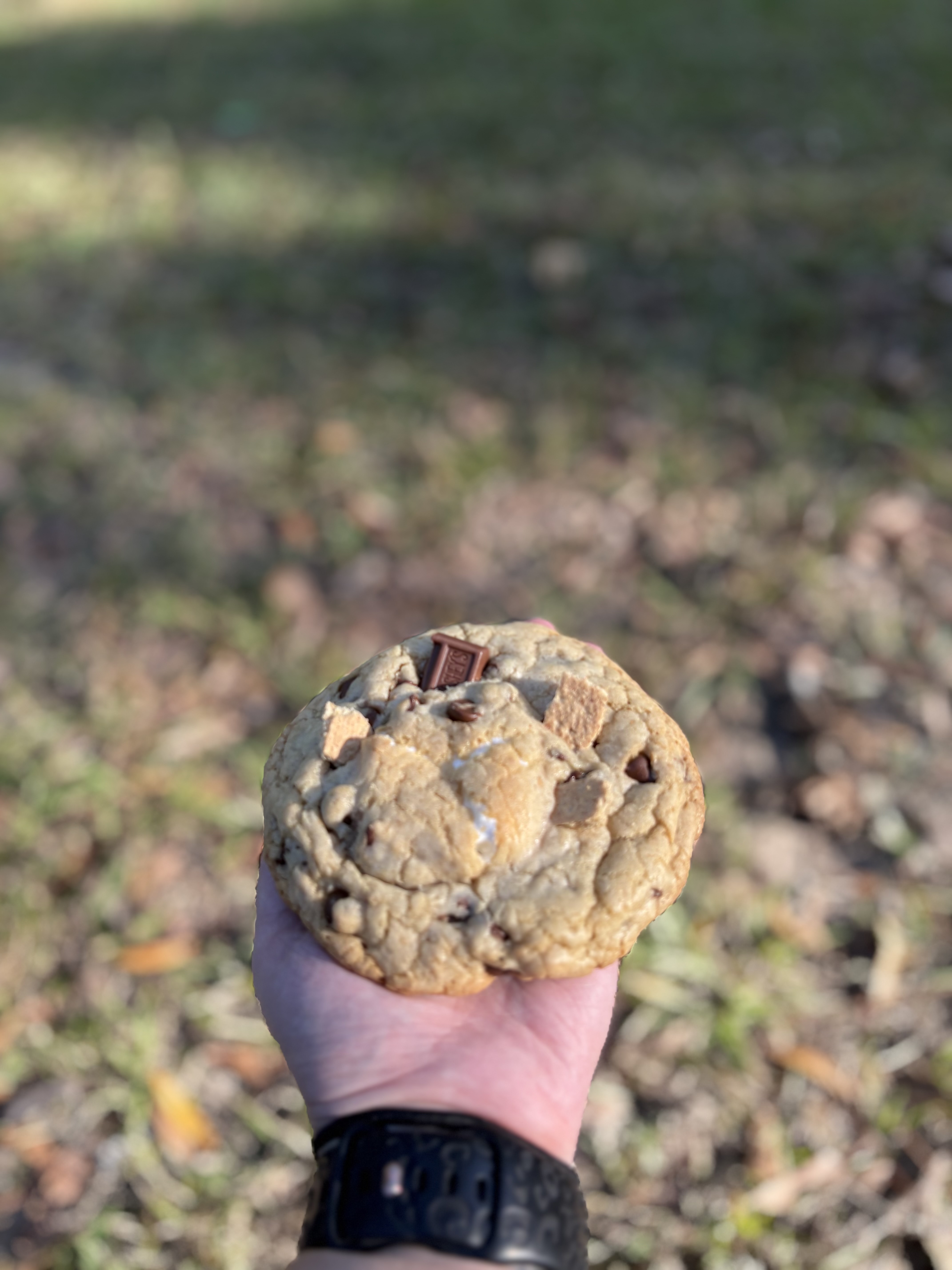 4 Pack S’more Cookies