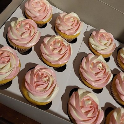 Basic Cupcakes 