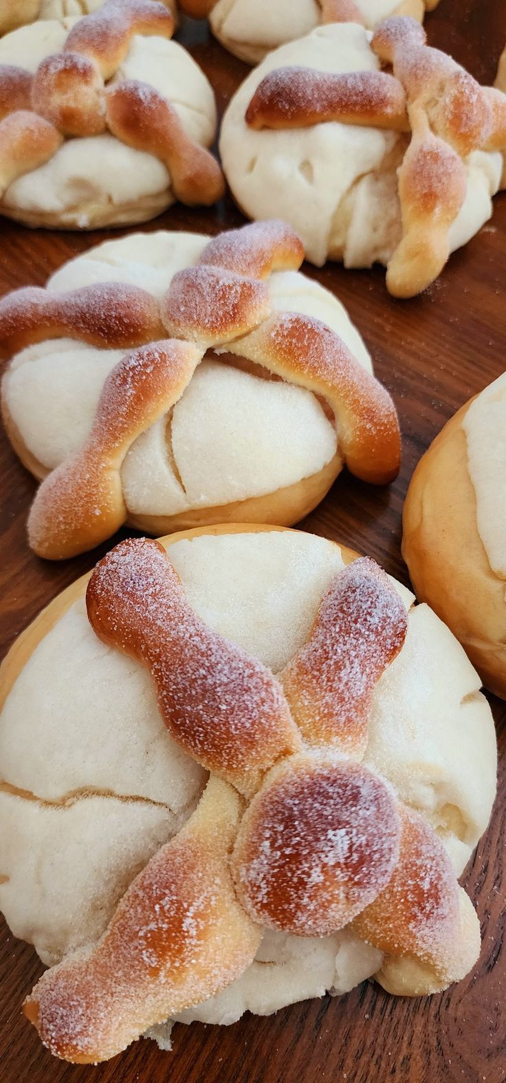 Pan De Muerto Concha / Bread Of The Dead Concha