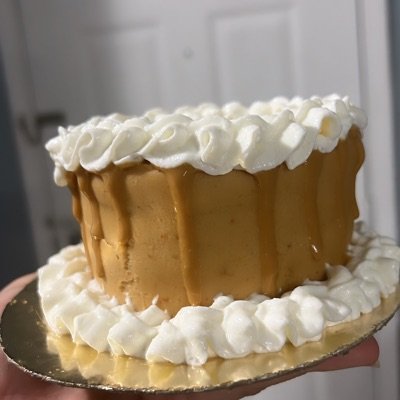 Dog Cake 