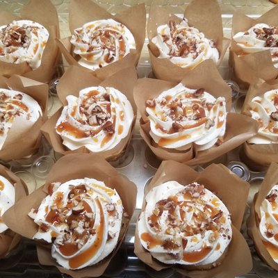 Premium Cupcakes