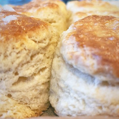 4-Pack Frozen You-Bake Buttermilk Biscuits