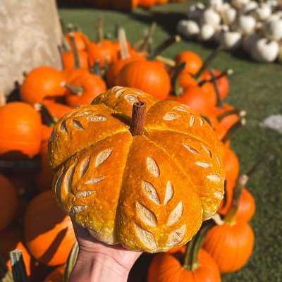 Pumpkin Shaped Boule