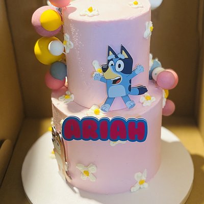 Two Tier Cake And 48 Treats