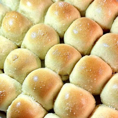 Dinner Rolls 
