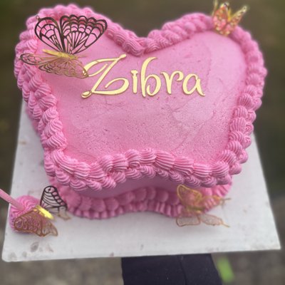 Butterfly Shaped Cake