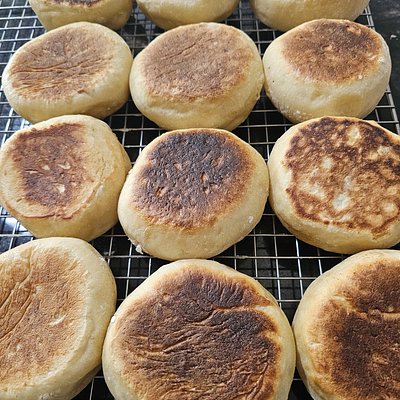 Sourdough English Muffins (6)