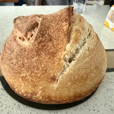White Sourdough 