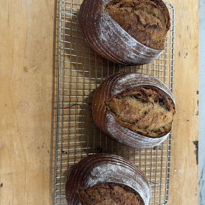 Kamut (Khorasan) Sourdough (550 Grams) 