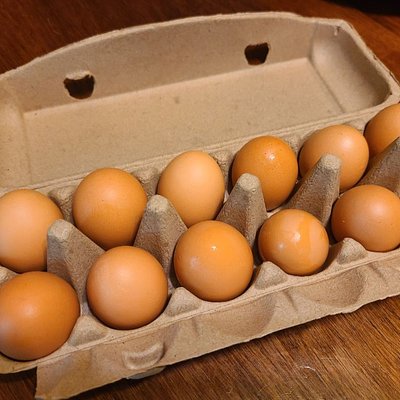 12 Chicken Eggs