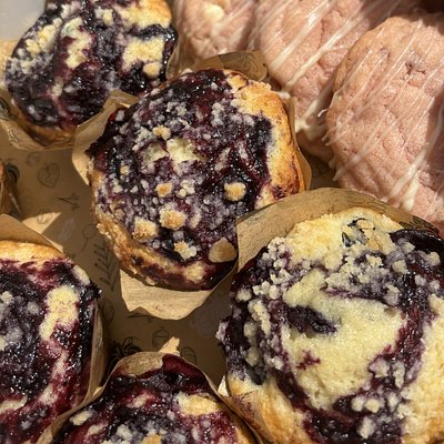 Blueberry Muffins