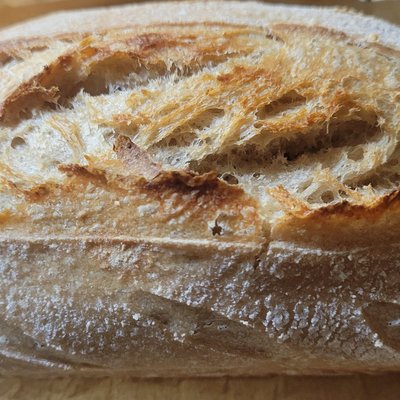 1/2 Loaf Size Plain Sourdough