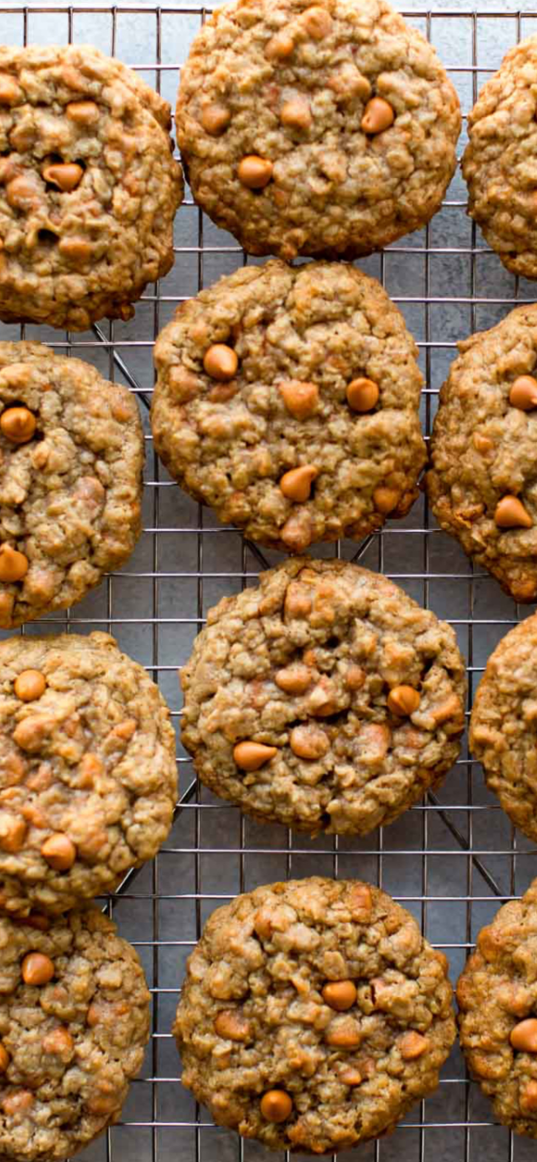 Oatmeal Butterscotch - 12 Ct