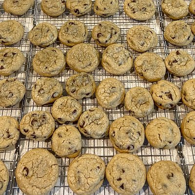 A Dozen Mini Chocolate Chip Cookies 