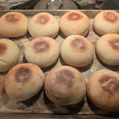 Sourdough English Muffins (6)