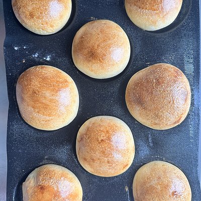 Sourdough Rolls 
