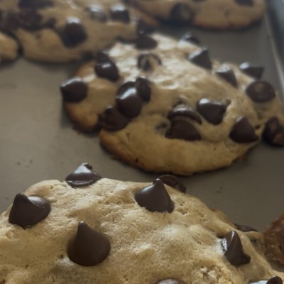 San Fransisco Fermented Sourdough Chocolate Chip Cookie