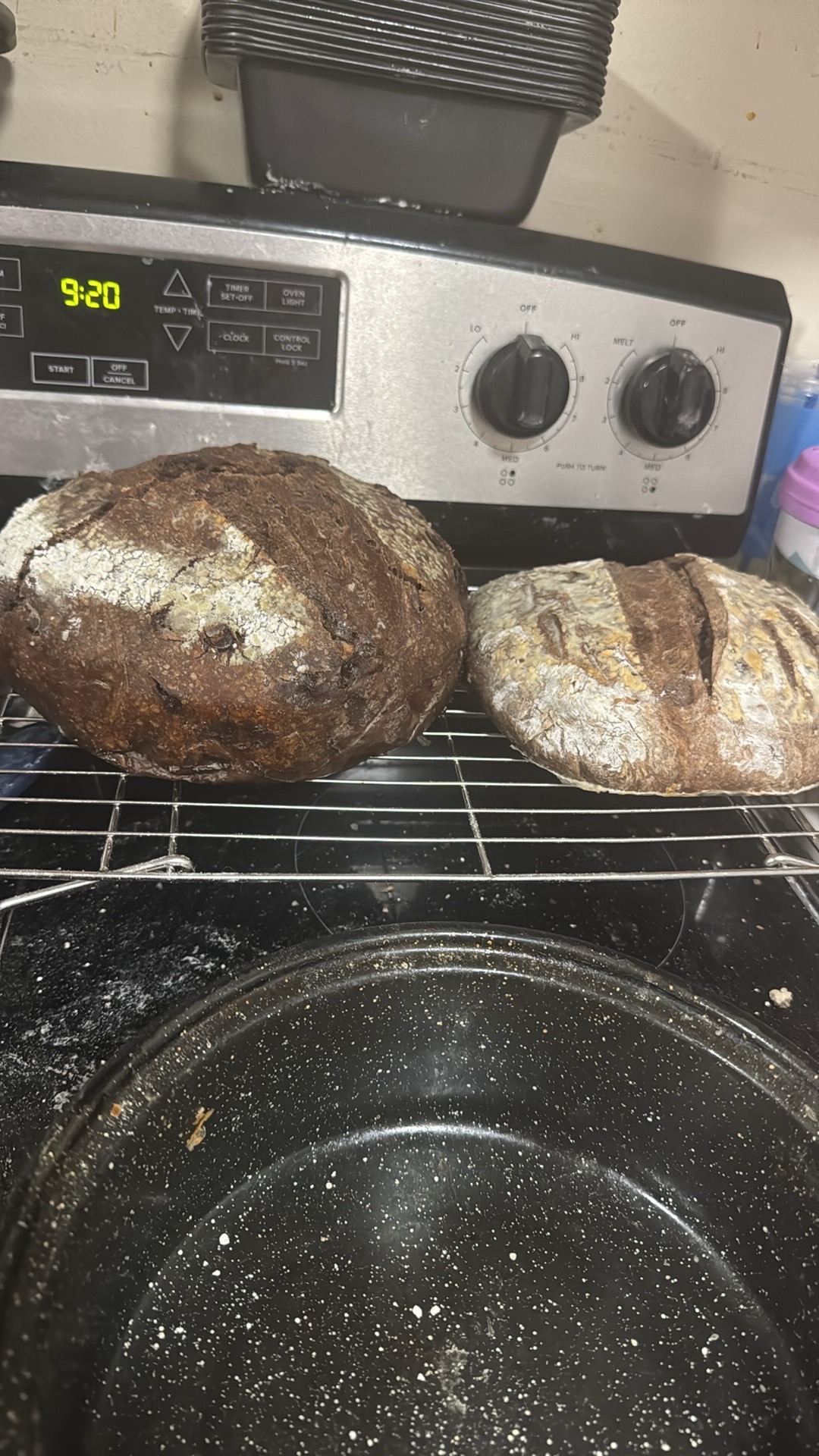 Double Chocolate Chip Loaf