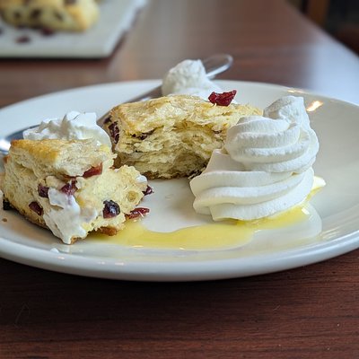 Cranberry Orange Scones