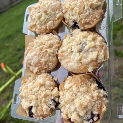 12 Ct Sourdough Blueberry Crumble Muffins