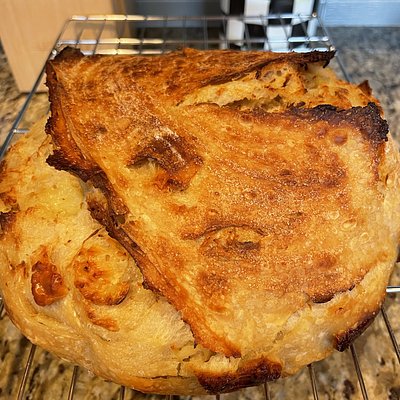 Roasted Garlic Asiago