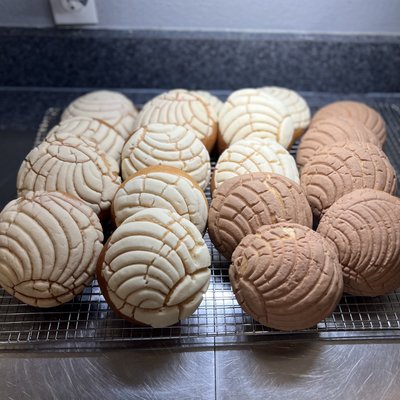Sourdough Conchas