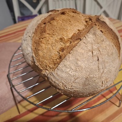 Gluten Free Sourdough 