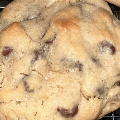 Chocolate Chip 