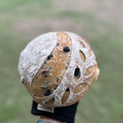 Olive Rosemary