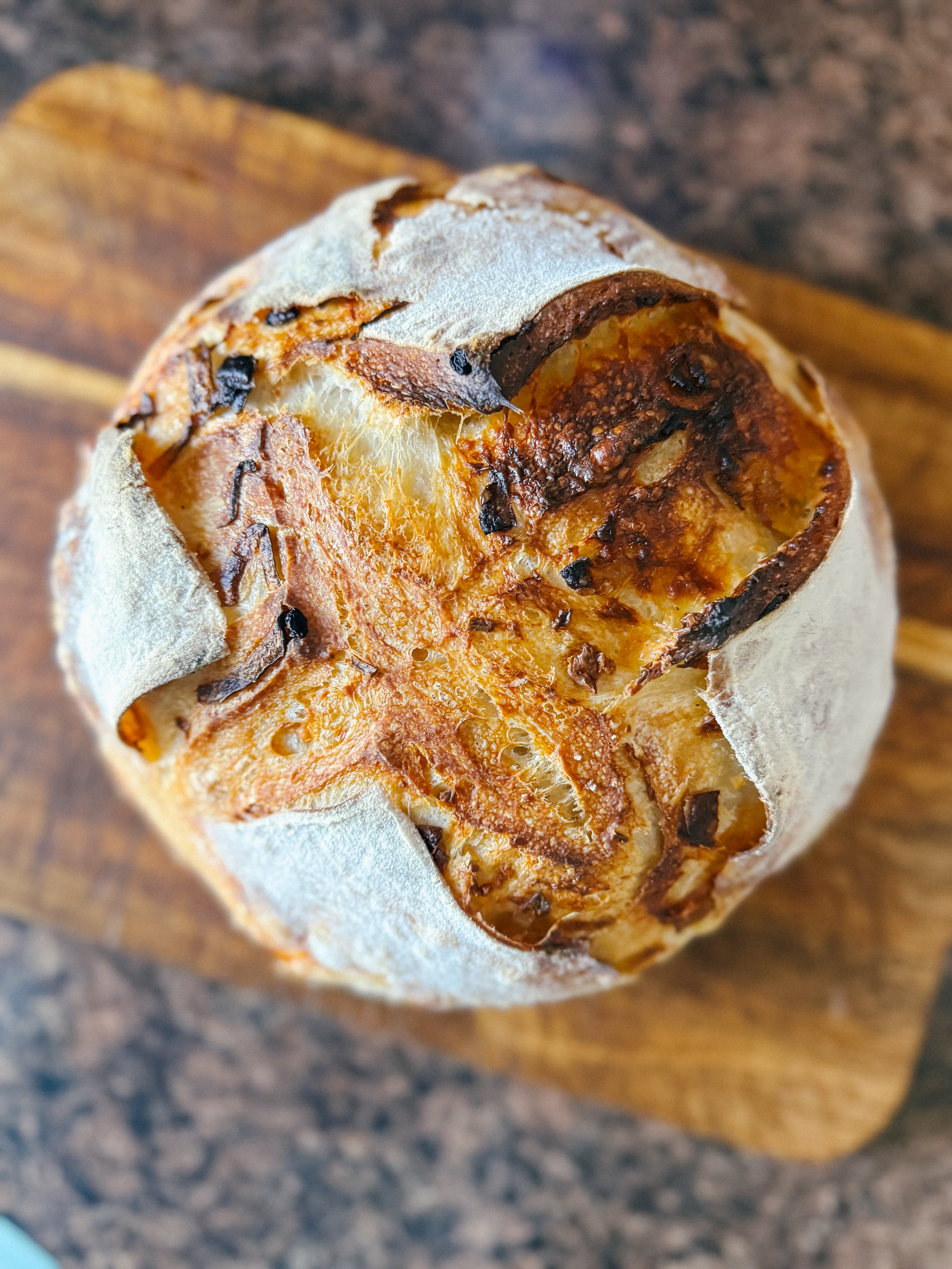 Caramelized Onion & Gouda Sourdough 