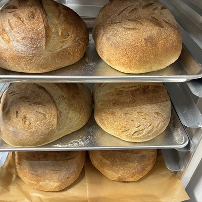Sourdough Artisan Bread Plain