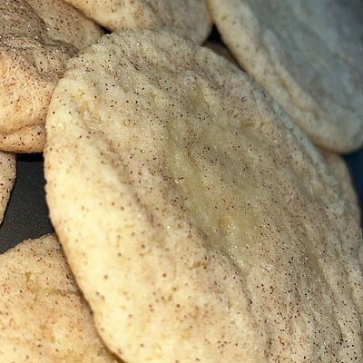 12 Snickerdoodly-doo - BITE SIZED