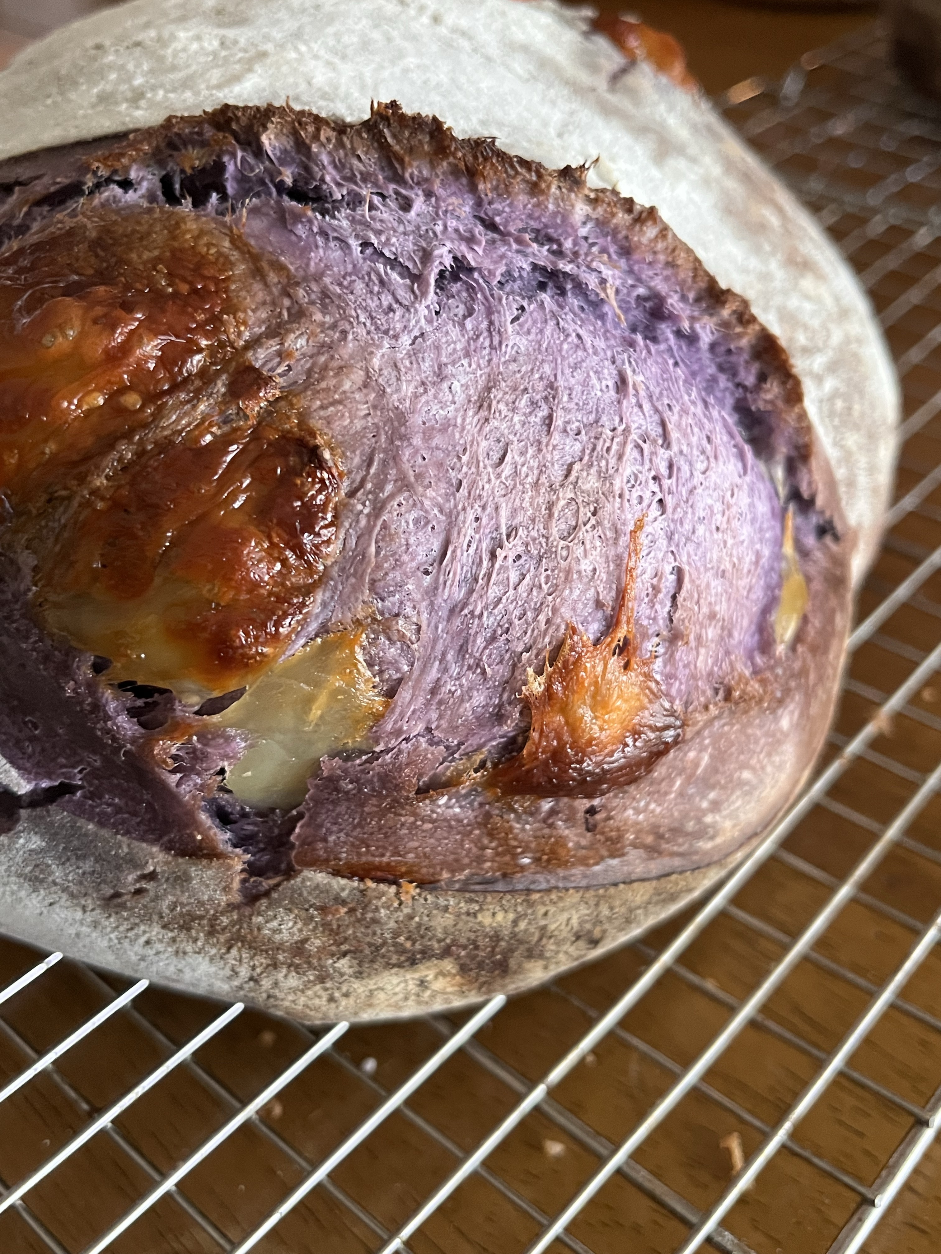 Ube Brie Sourdough