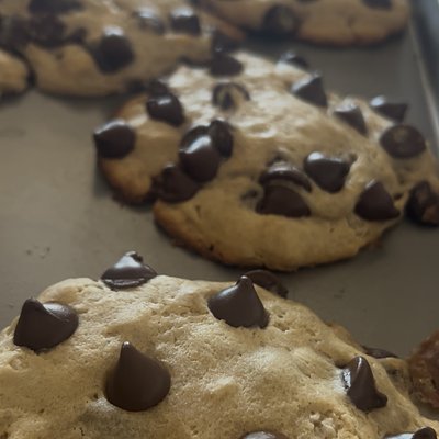 San Fransisco Fermented Sourdough Chocolate Chip Cookie