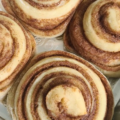 Sourdough Cinnamon Rolls-Regular