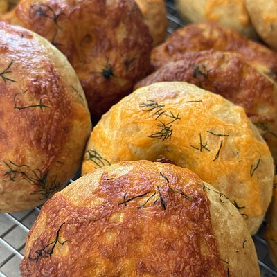 Cheddar Dill Bagels (6)