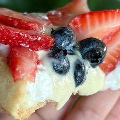 French Fruit Tarts : Total 4 